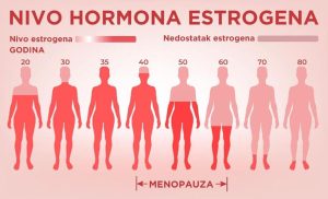 Nivo hormona estrogena